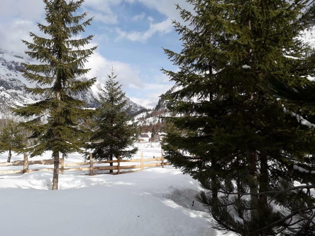 Eco Camping Camping Valbone